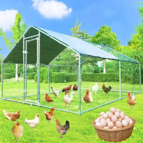 Large Chicken Coop