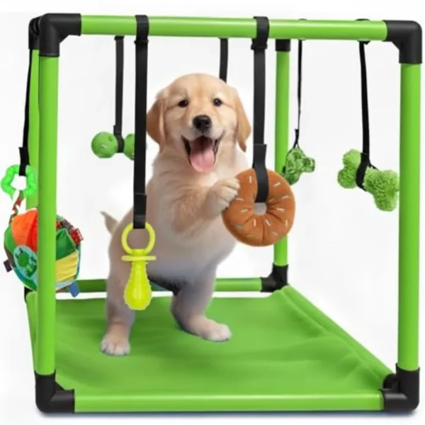 Jungle Gym