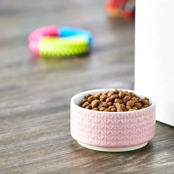 2-Pack Dog Bowl Non-Slip