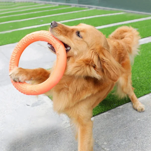 Pet Flying Disk Ring